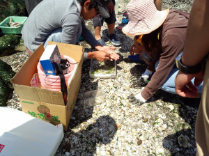 ���񂳂����̂悤��