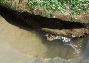 �^�e�W�}�C�\�M���`���N