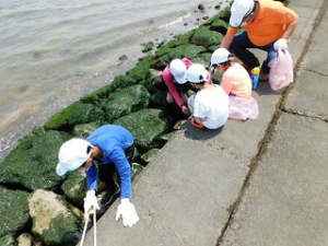 �C�ɂȂ錄��