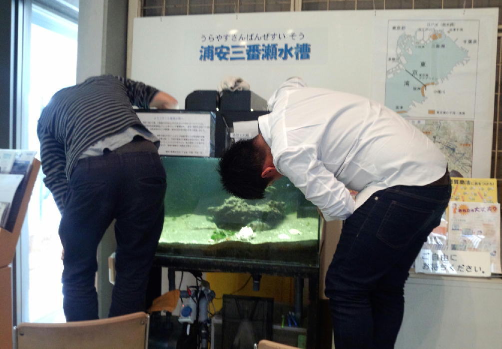 ���������̂�������